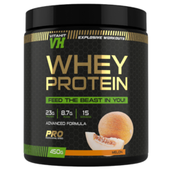 Whey Protein (Дыня) 450г